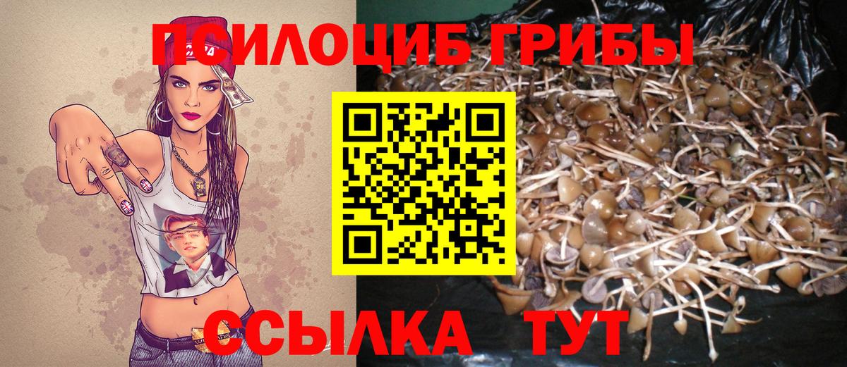 Пугачёв  Псилоцибиновые грибы GOLDEN TEACHER  Вход с VPN  Галлюциногенные грибы GOLDEN TEACHER 