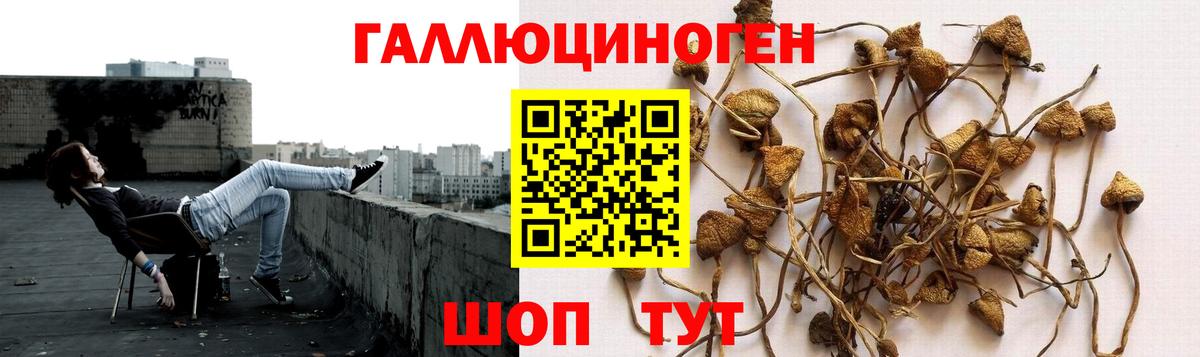 Галлюциногенные грибы мухоморы Пугачёв